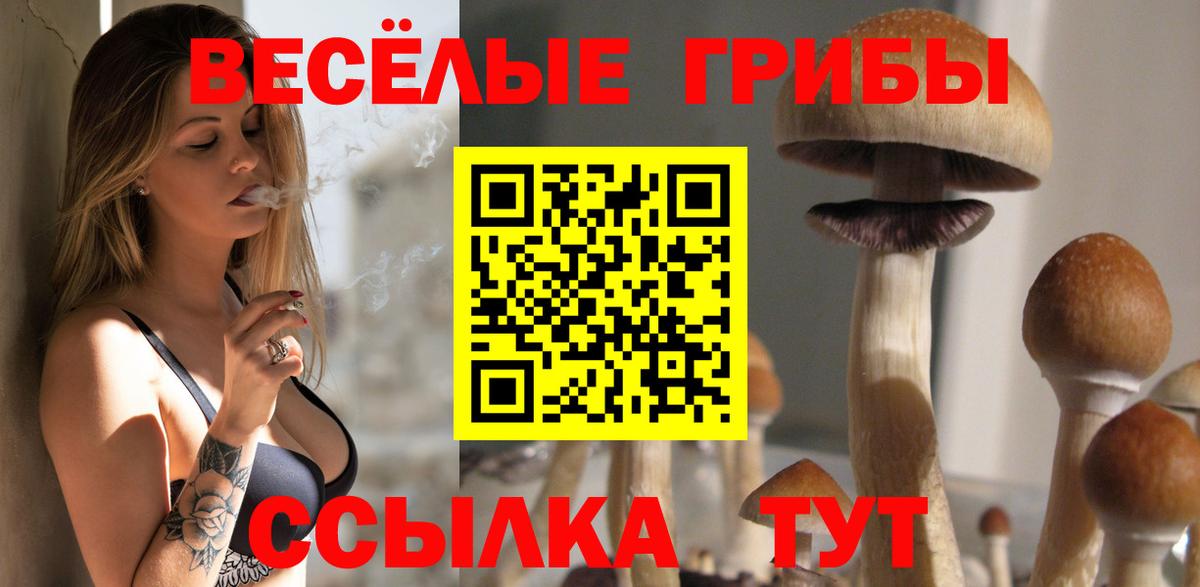 Псилоцибиновые грибы мицелий Нижнеудинск